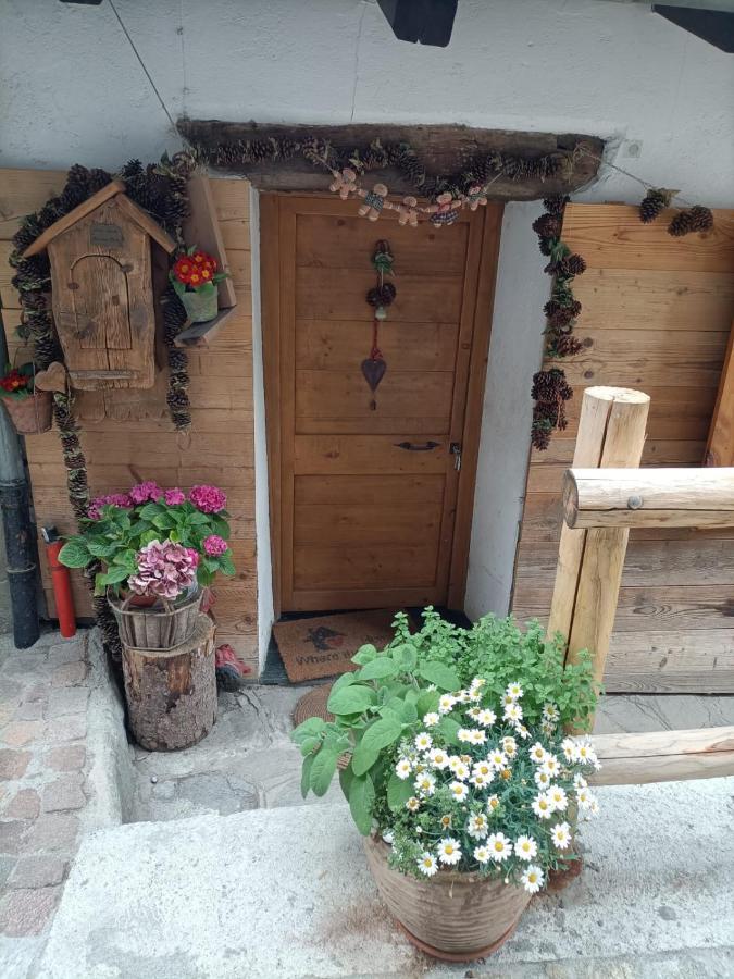 Maison Du Mont Aosta Buitenkant foto